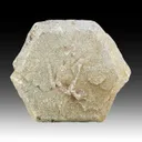 Dolomite after Aragonite - image 1