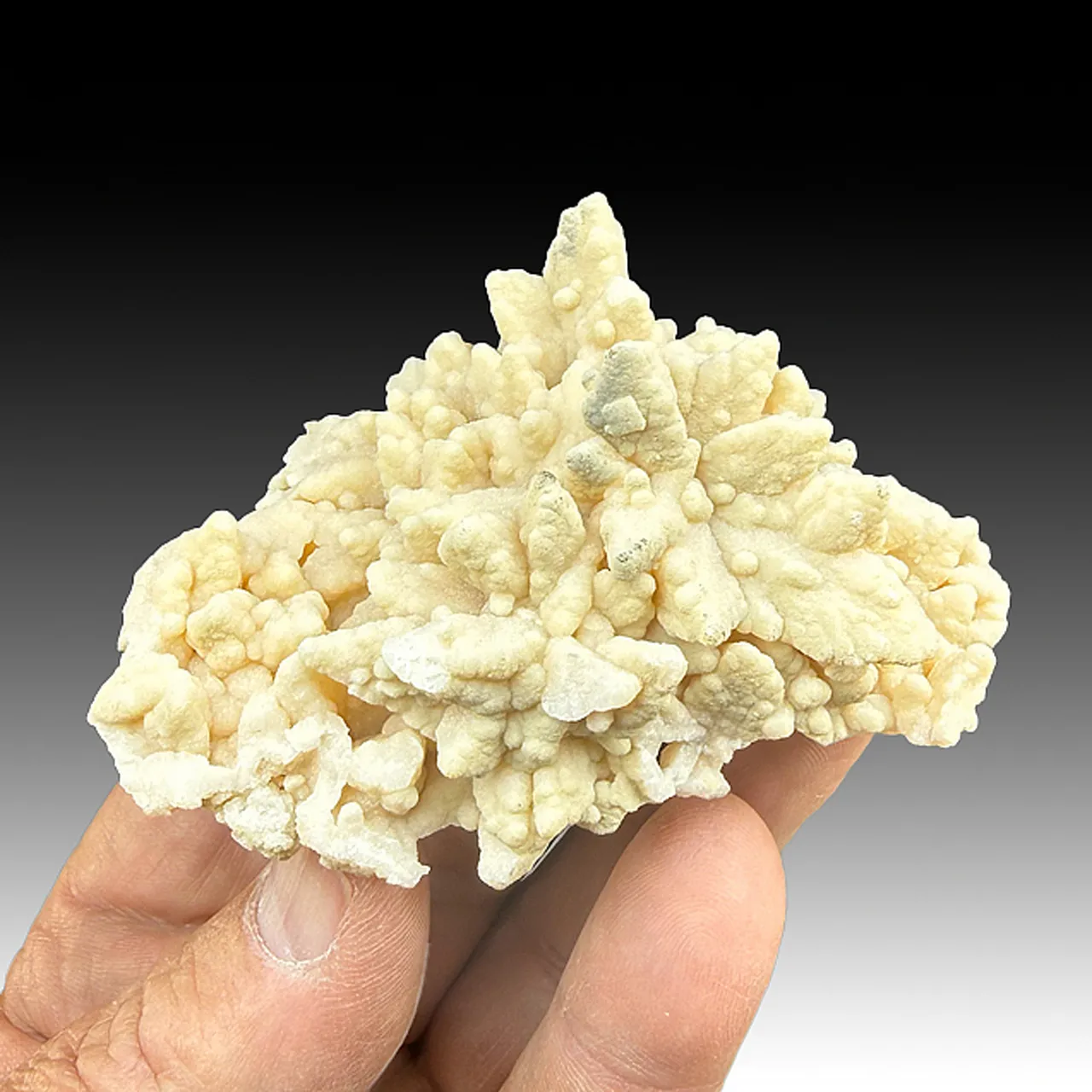 Dolomite after Calcite - image 1