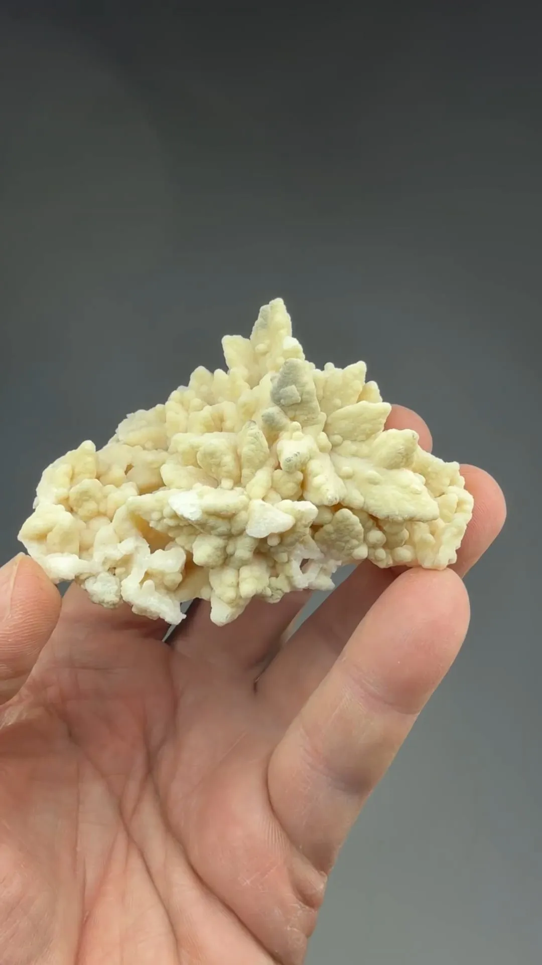 Dolomite after Calcite - image 2