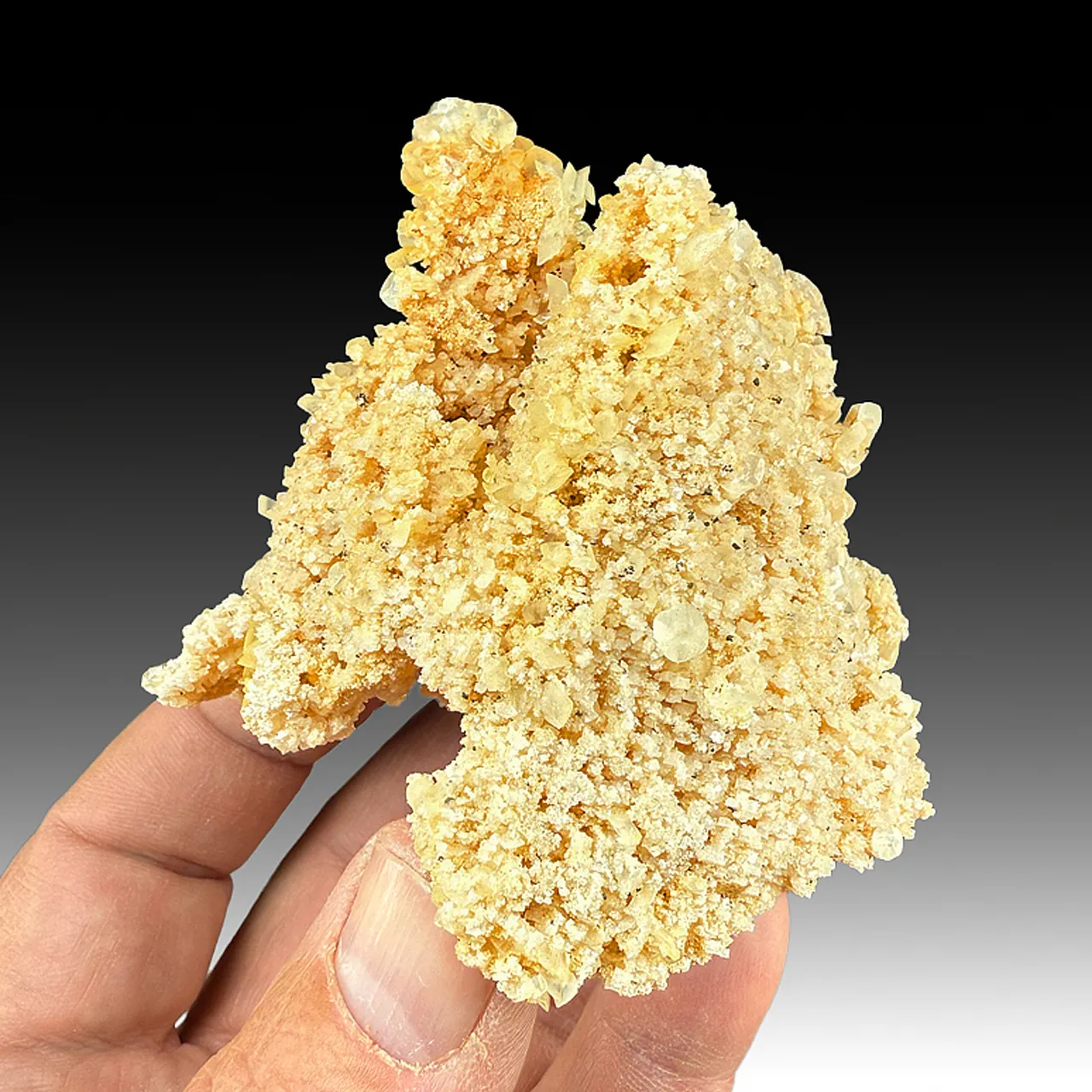 Dolomite after Calcite with Calcite - image 1