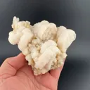 Dolomite after Calcite with Quartz - image 1