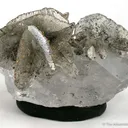 Dolomite and Pyrrhotite on Quartz - image 1