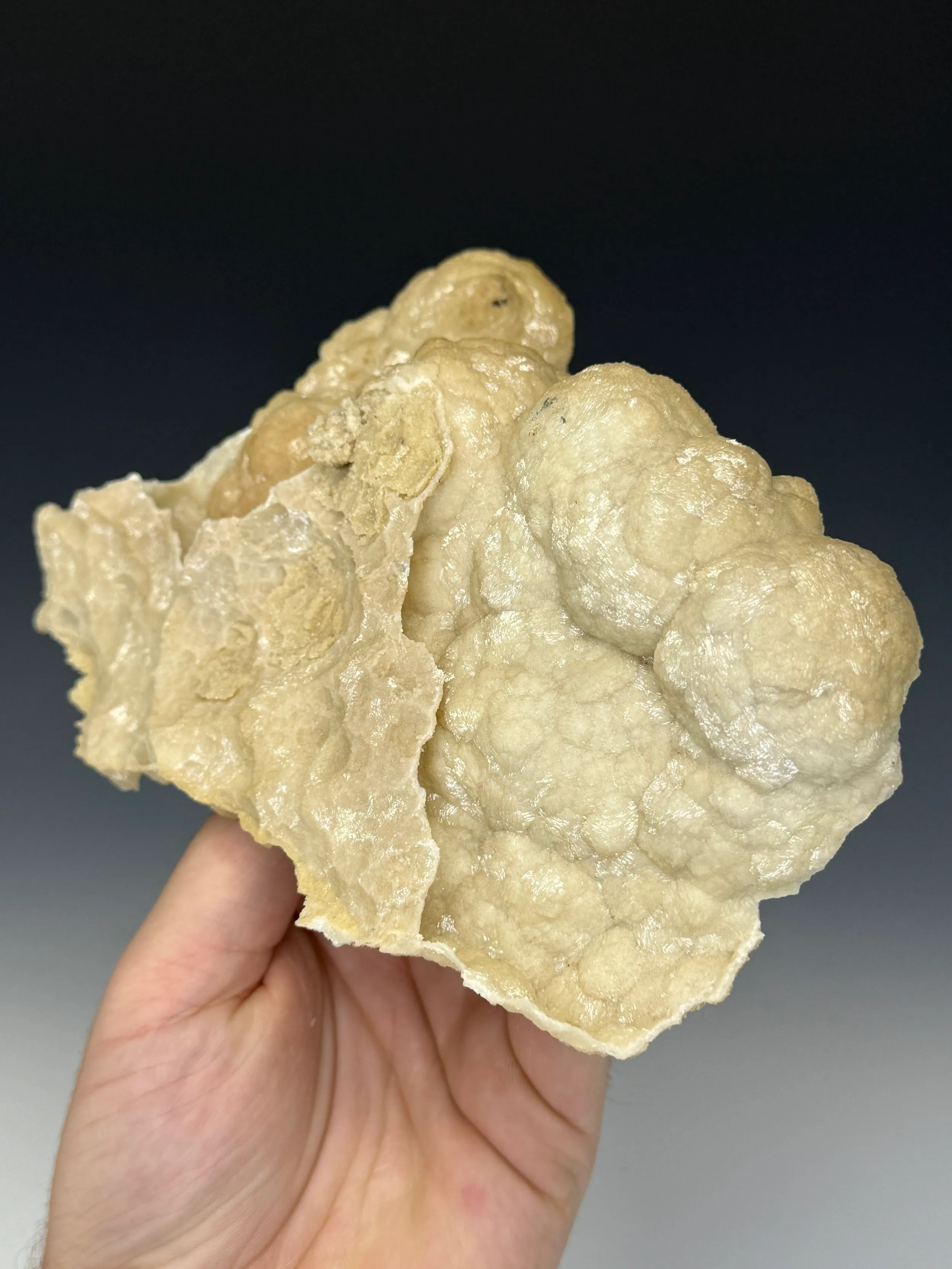 Dolomite Cast - image 2