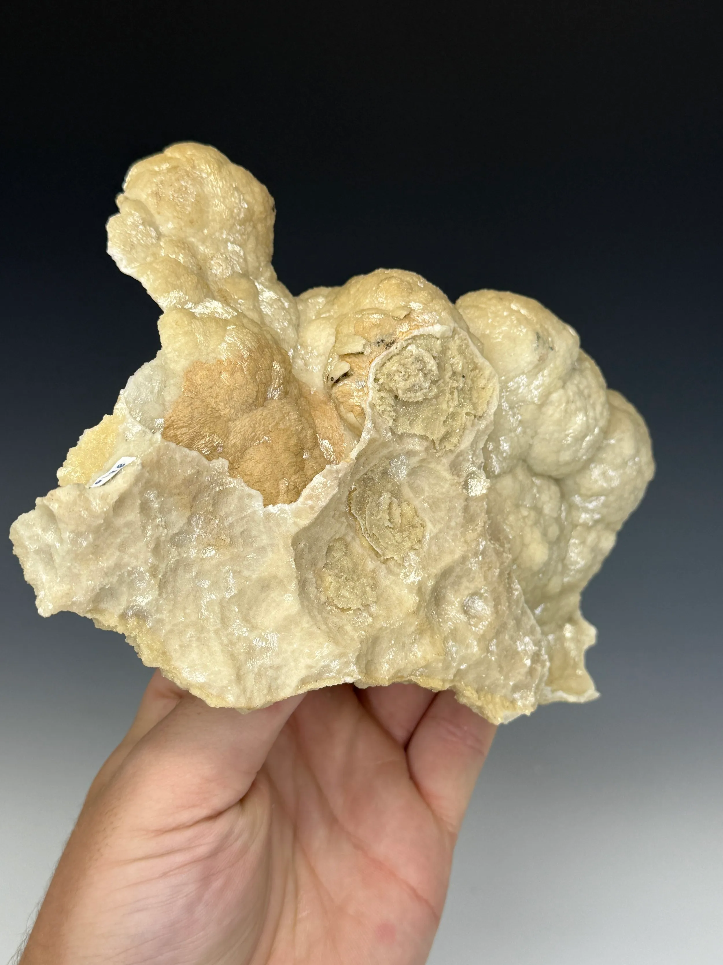 Dolomite Cast - image 3
