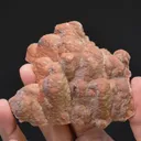 Dolomite Cast after Calcite - image 2