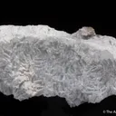Dolomite Cast after Calcite - image 6