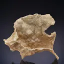 Dolomite cast - image 1