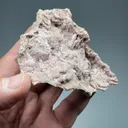 Dolomite casts with Wulfenite - image 2