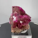 specimen video