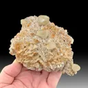 Dolomite from Touissit, Oriental Region, Morocco - image 1