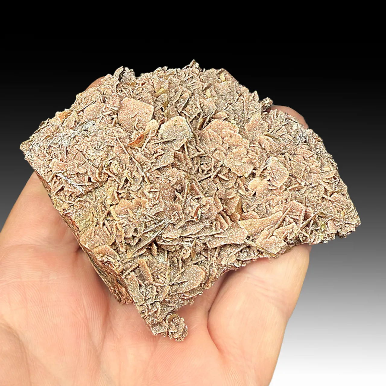 Dolomite on Wulfenite - image 1