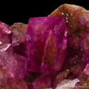 Dolomite var. Cobaltian - image 3