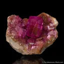 Dolomite var. Cobaltian - image 1