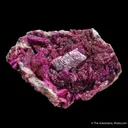 Dolomite var. Cobaltoan - image 4