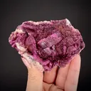 Dolomite var. Cobaltoan - image 2