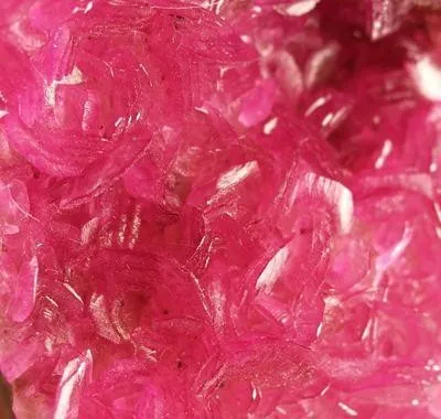 Dolomite (Var: Cobaltoan Dolomite) image