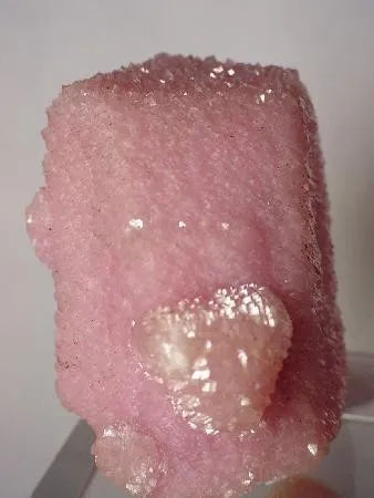 Dolomite (Var: Cobaltoan Dolomite), Aragonite (Var: Plumboan Aragonite) image