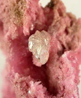 Dolomite (Var: Cobaltoan Dolomite), Cerussite - image 4