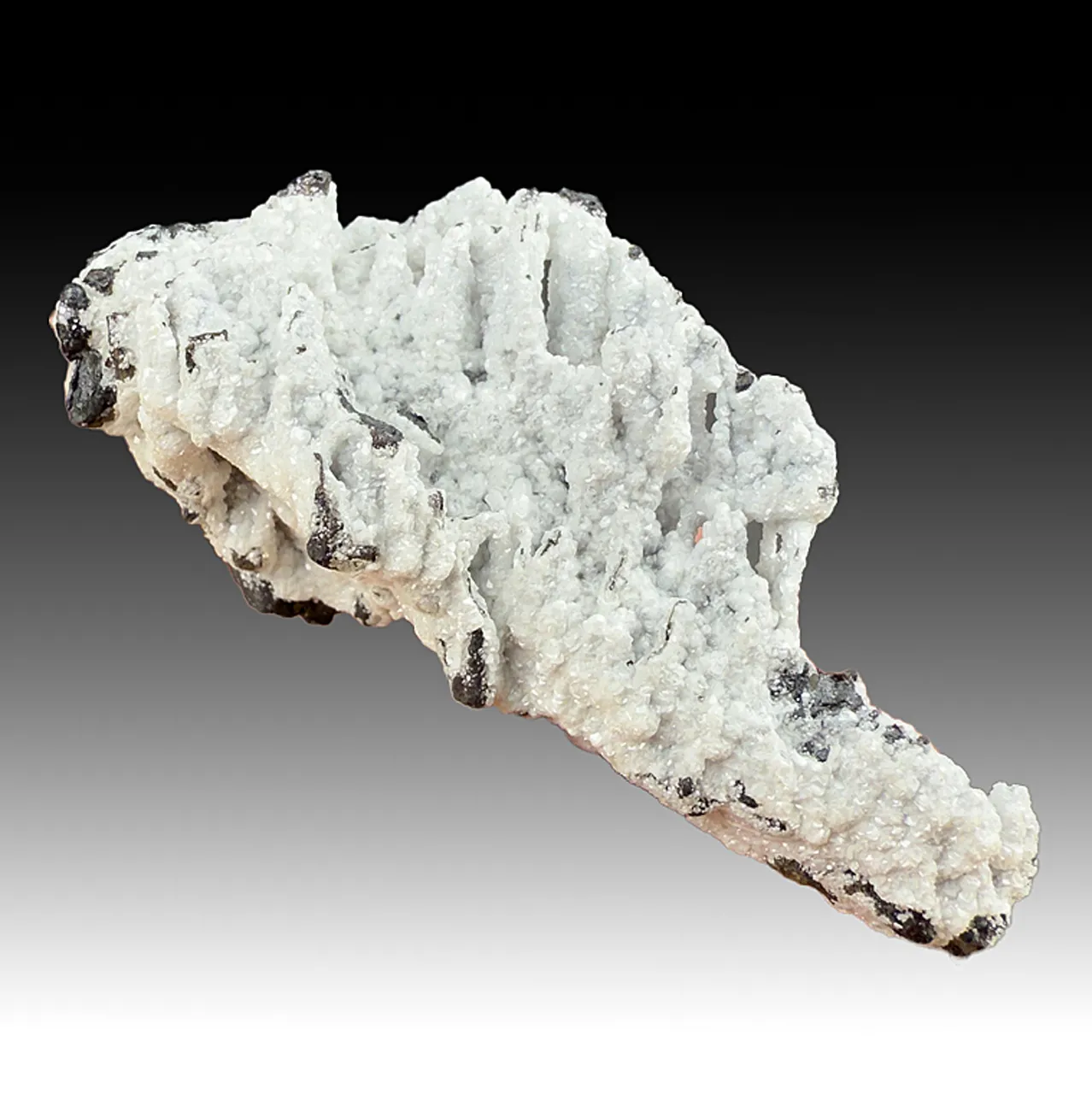 Dolomite with Coronadite - image 1