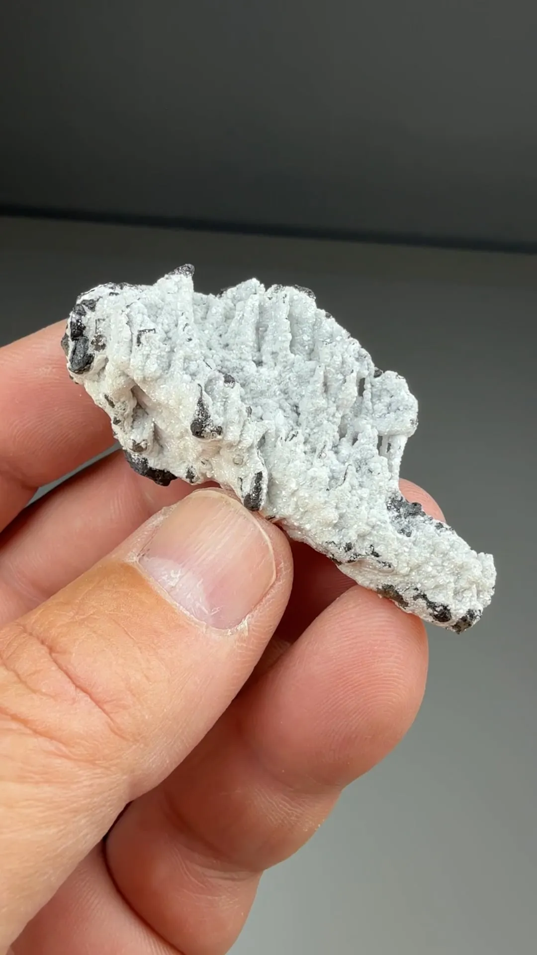 Dolomite with Coronadite - image 2