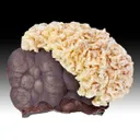 Dolomite with Hematite - image 1