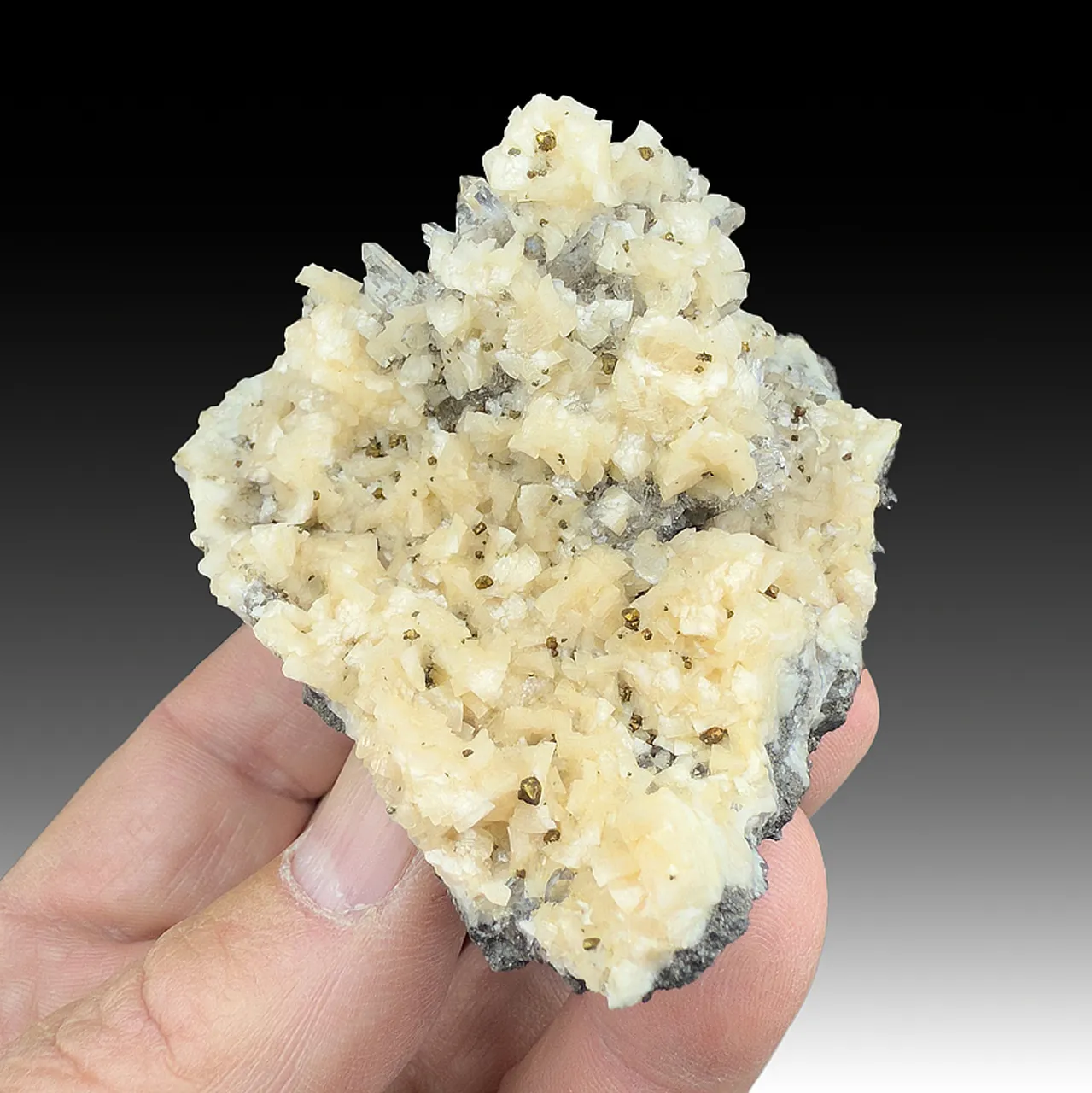 Dolomite with Pyrite, Quartz - image 1