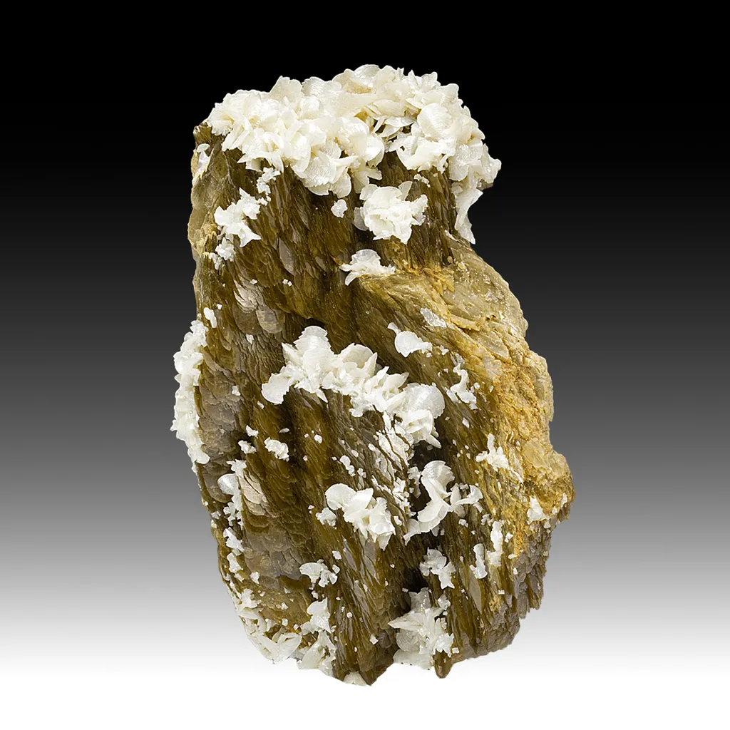 Dolomite with Siderite image