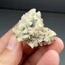 Dolomite with Sphalerite, Marcasite (523) - image 2