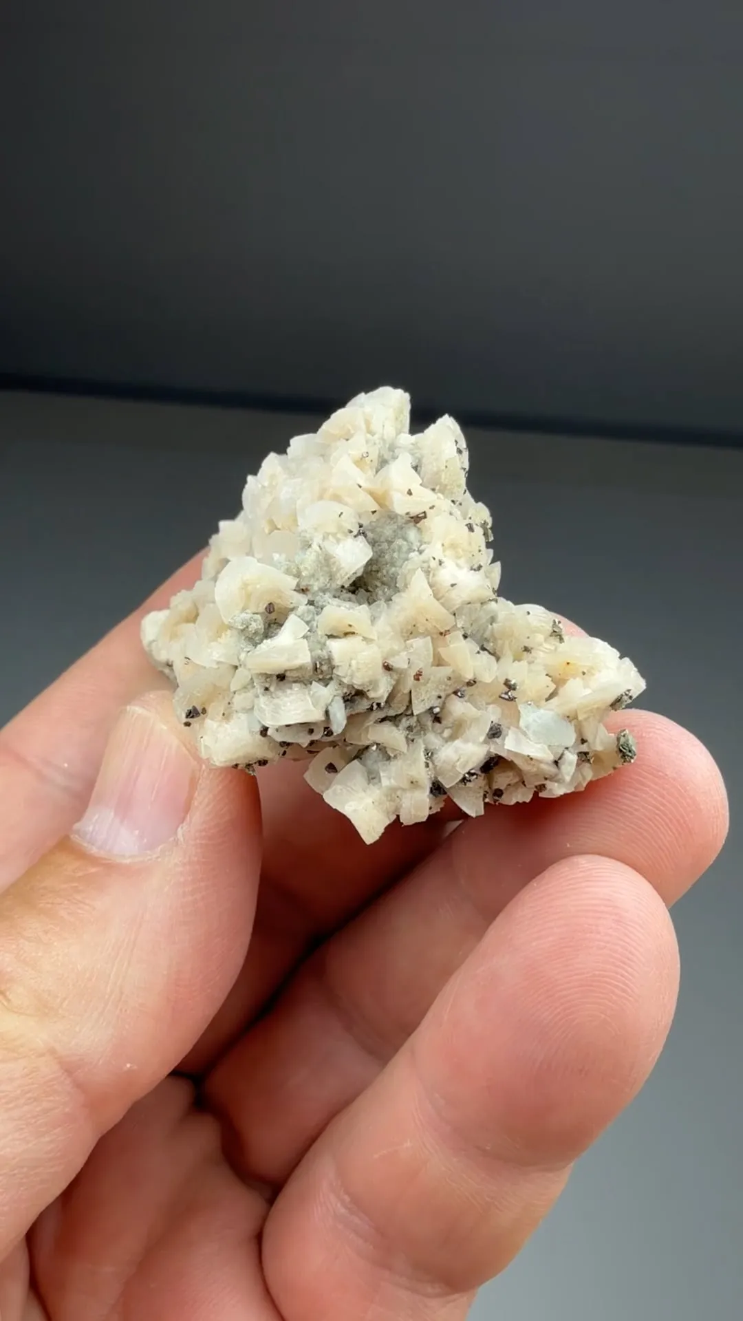 Dolomite with Sphalerite, Marcasite (523) - image 2