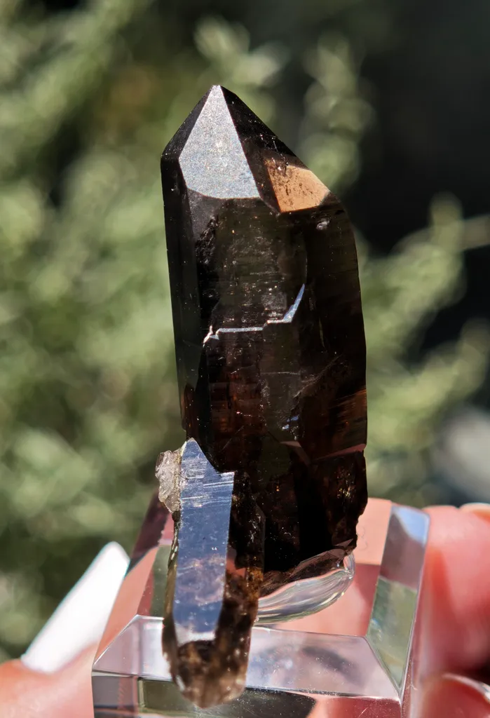 Double-Terminated Smoky Quartz – Swiss Alpine Specimen - image 4