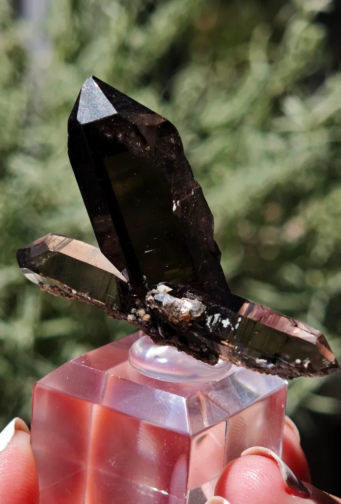 Double-Terminated Smoky Quartz – Swiss Alpine Specimen image