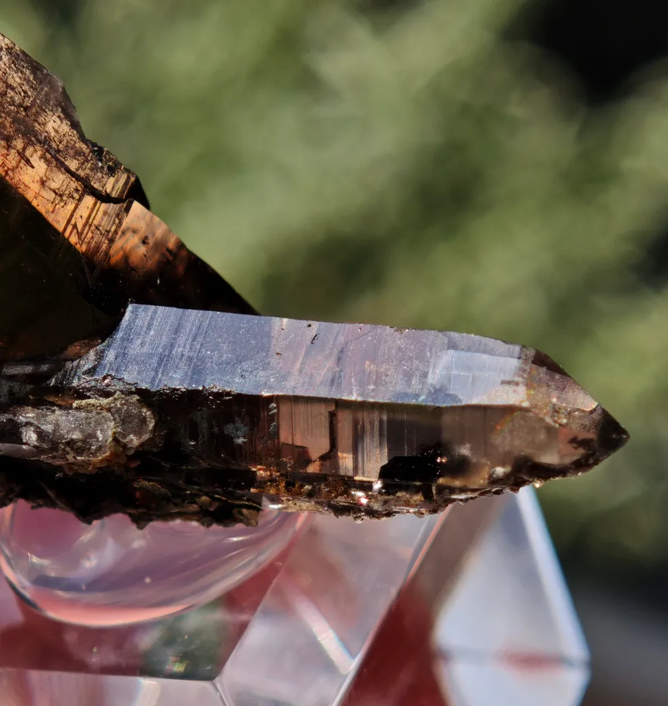 Double-Terminated Smoky Quartz – Swiss Alpine Specimen - image 6