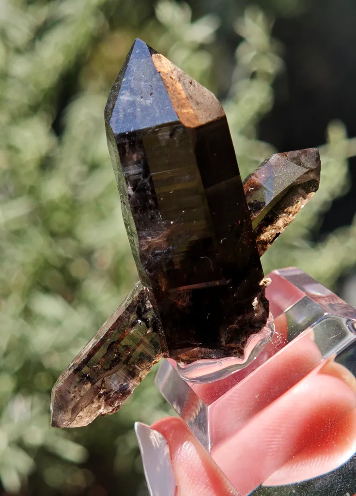Double-Terminated Smoky Quartz – Swiss Alpine Specimen - image 5