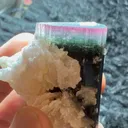 specimen video