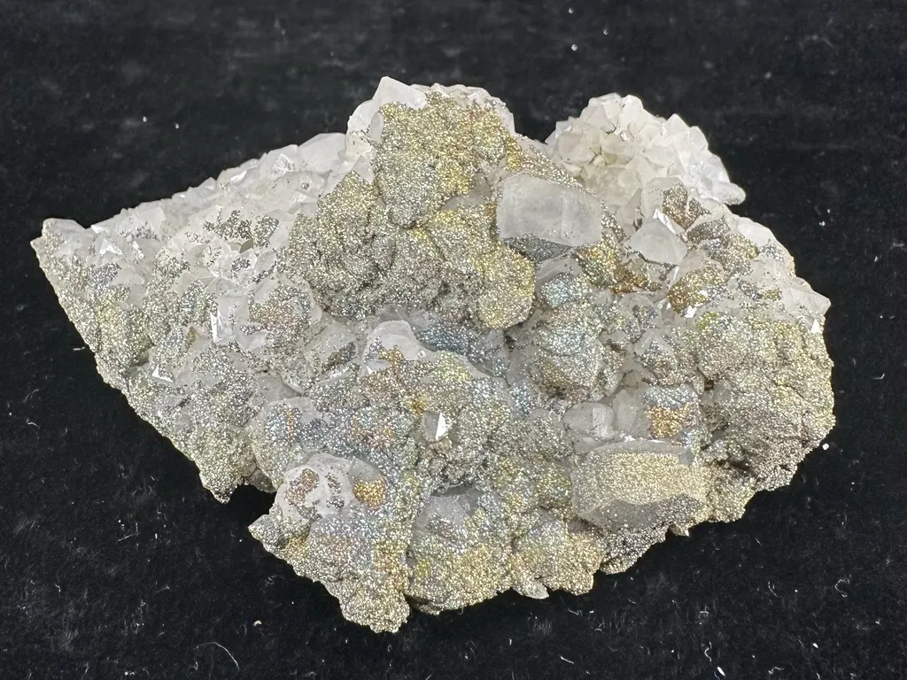 Draft specimen image