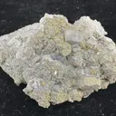 Draft specimen - image 1