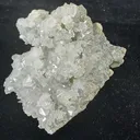 Draft specimen - image 2