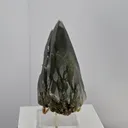 specimen video