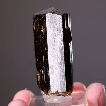 Dravite