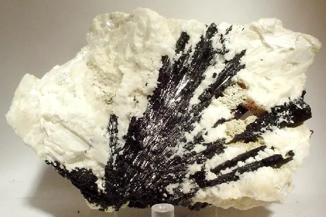 Dravite, Albite image