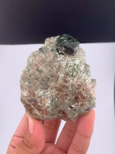 specimen video