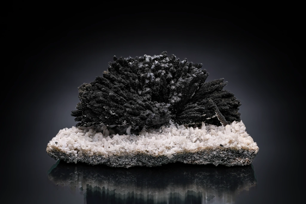 Dravite from Guadalupana Mine, Sierra del Chivato, Santa Cruz, Sonora, Mexico image