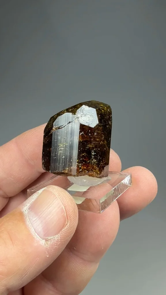 Dravite from Jajarkot District, P6 Karnali Pradesh, Nepal - image 2