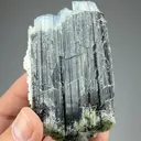 Dravite from Manyara Region, Tanzania - image 2