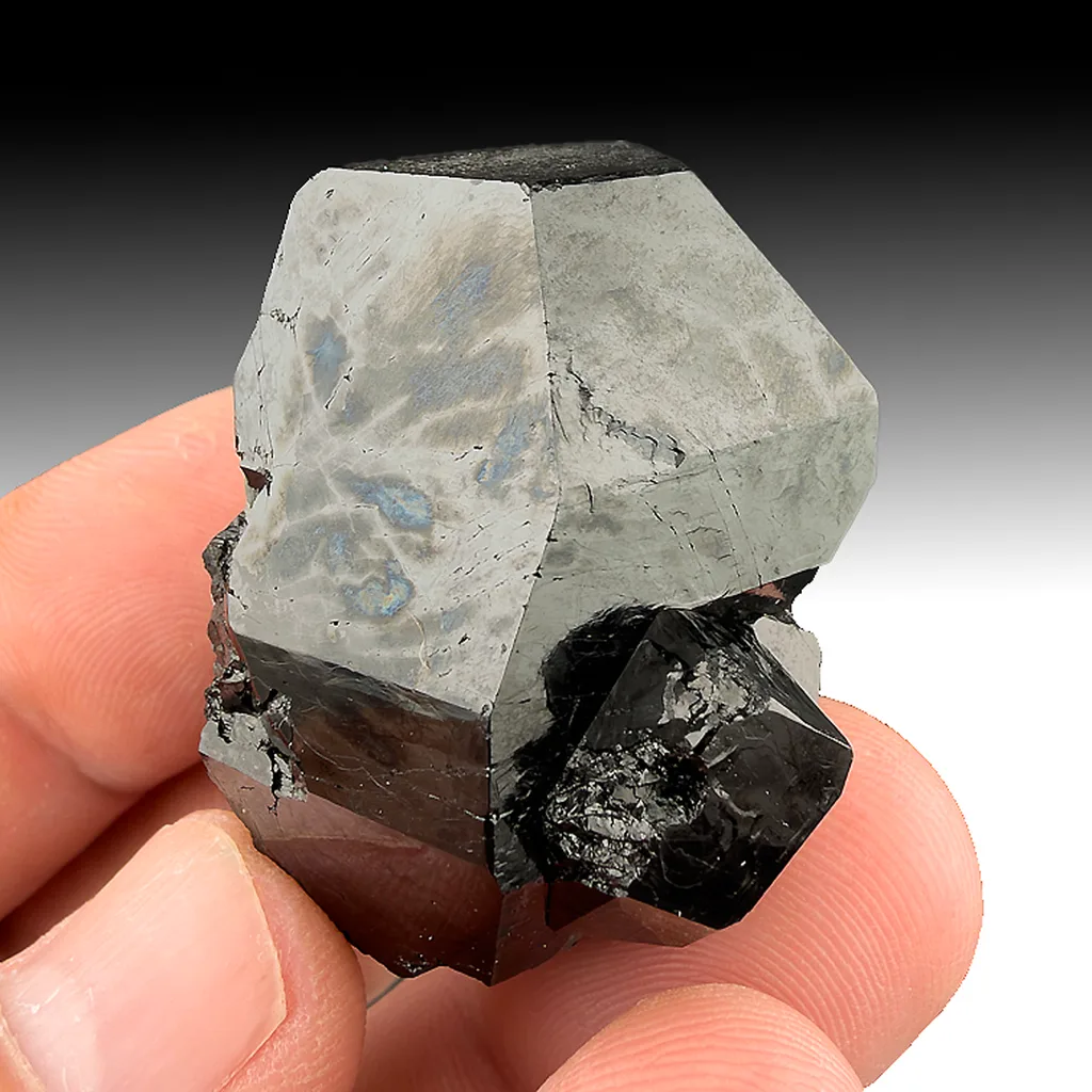 Dravite from Power's Farm, New York, USA - image 1