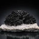 Dravite Tourmaline from the Guadalupana Mine, Sonora, Mexico - image 1