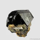 Dravite Tourmaline (late 1800s) - image 5