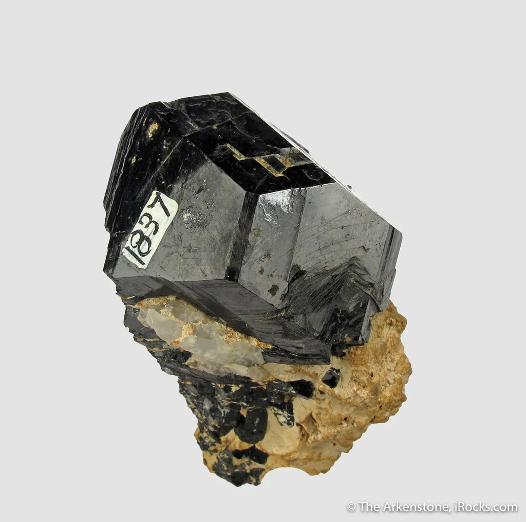 Dravite Tourmaline (late 1800s) - image 4