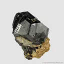 Dravite Tourmaline (late 1800s) - image 4