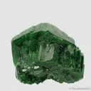 Dravite Tourmaline (vanadium-rich) - image 4
